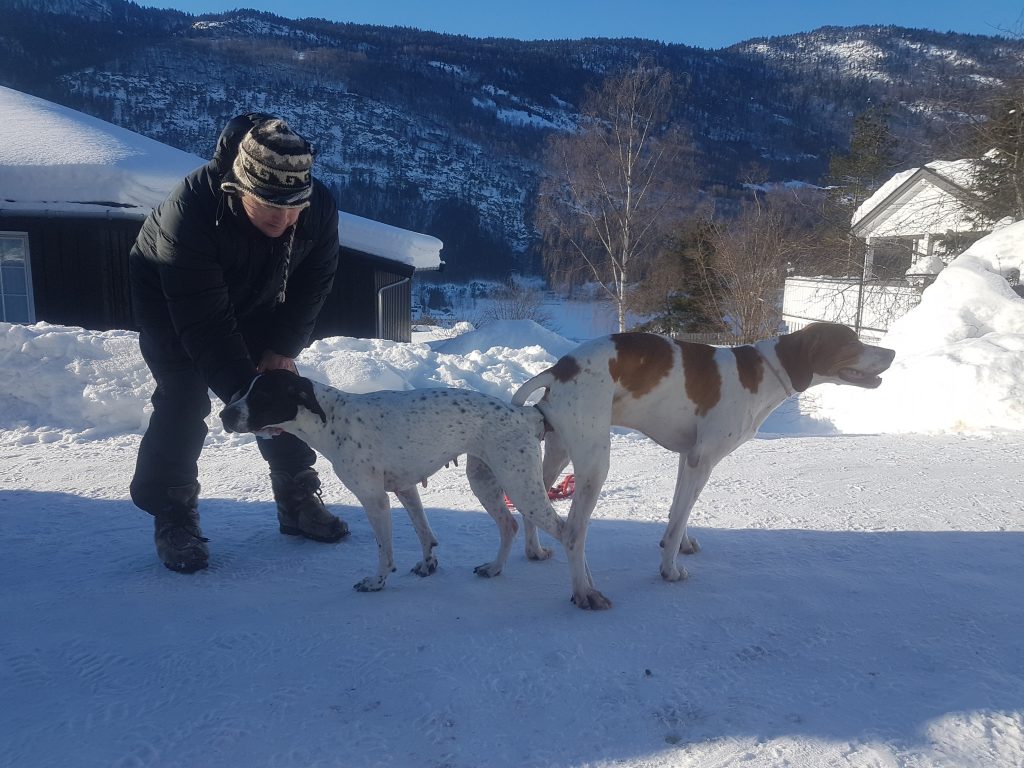 Vakkerdalens Jo och Borgeflons MP Xena